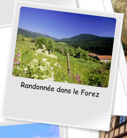 Randonne dans le Forez